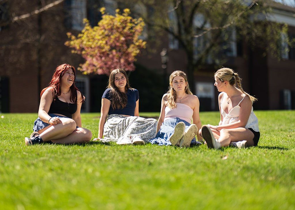 Giving Options by Gift Amount